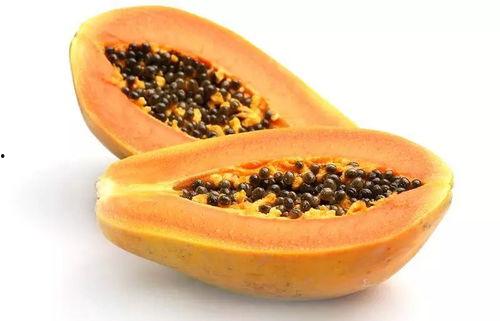 木瓜园吃瓜视频,甜蜜瓜果盛宴，尽享田园生活乐趣