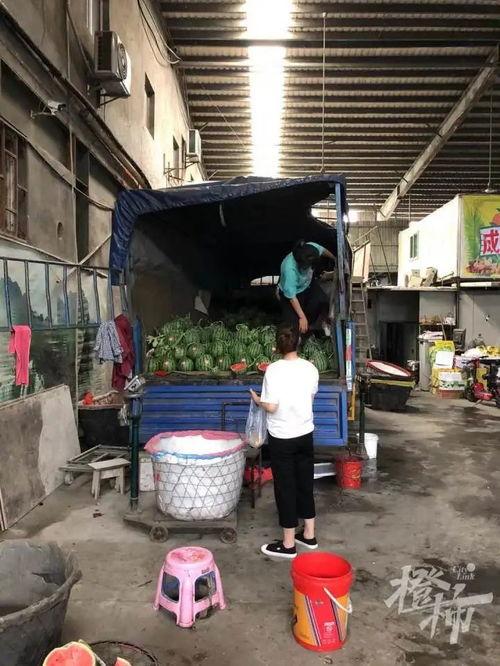 吃瓜群众摔护栏视频大全,惊险瞬间！吃瓜群众摔护栏视频大盘点