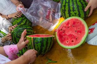 订婚吃瓜视频大全集