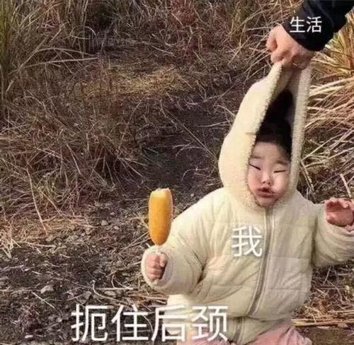 沙雕吃瓜爆料视频大全最新,揭秘娱乐圈幕后真相