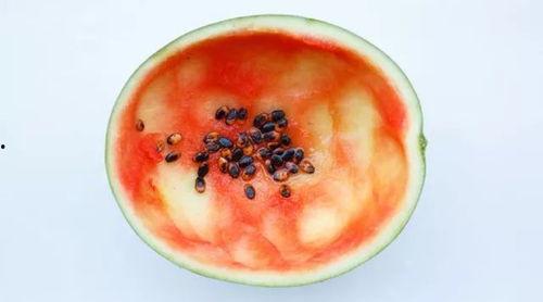 拿勺子吃瓜怎么切视频,拿勺子吃瓜，视频教你如何巧妙切割