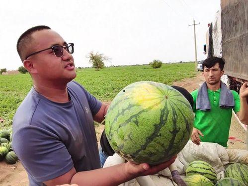儿童马吃瓜视频,萌态十足，儿童乐园温馨瞬间