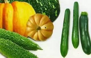 哪里能买吃瓜视频