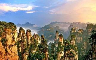 张家界吃瓜新郎是谁视频,一场意外的婚礼秀