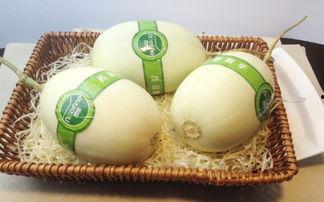 吃白玉瓜视频大全下载,美味佳肴一网打尽