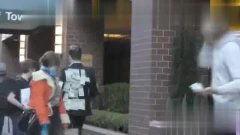 猎奇吃瓜事件视频播放,揭秘背后惊人播放量背后的秘密