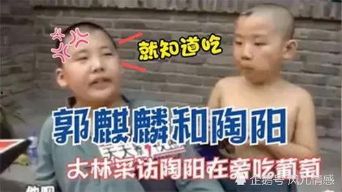 官方合集吃瓜群众视频在线观看,吃瓜群众视频在线观看，揭秘热门事件幕后真相