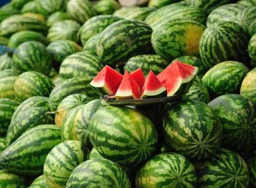 山西网红吃瓜事件视频最新,揭秘背后真相与争议