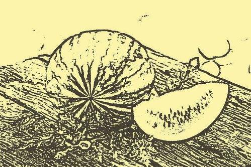 民间故事吃瓜视频,民间故事里的神秘吃瓜之旅