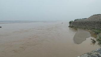 韩城吃瓜视频黄河滩,韩城特色美食之旅