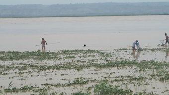 韩城吃瓜视频黄河滩,韩城特色美食之旅
