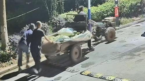 高考一家人吃瓜视频,一家人吃瓜视频背后的温馨故事