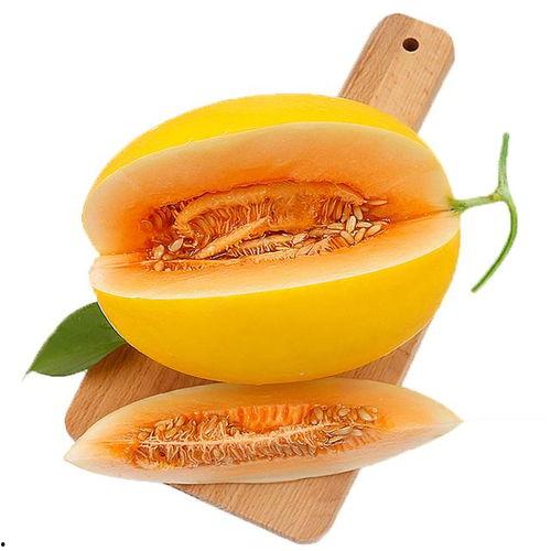 三亚吃蜜瓜视频,甜蜜之旅，尽享热带风情