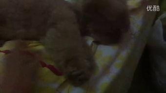 扮演小姐姐吃瓜视频大全