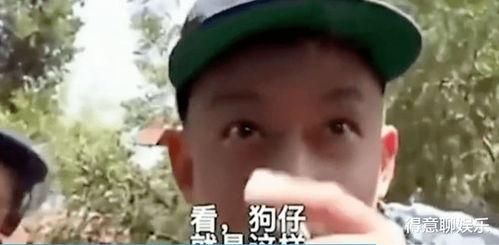 吃瓜发疯系列视频,揭秘网络热点的疯狂魅力