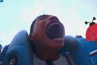 吃瓜发疯系列视频,揭秘网络热点的疯狂魅力