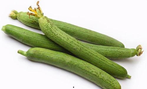 景区吃蜜瓜的女生视频大全,景区女生甜蜜分享吃瓜瞬间