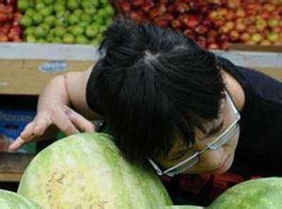 介绍吃瓜文化的视频,揭秘网络时代的娱乐风向标