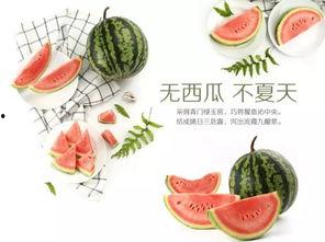 介绍吃瓜文化的视频,揭秘网络时代的娱乐风向标