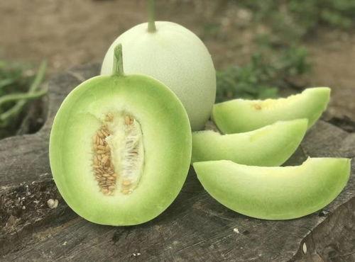 玉姑瓜怎么切块吃视频教程,轻松掌握美味瓜果新吃法