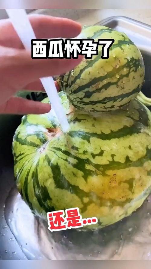 过年吃瓜搞笑视频,笑翻天！过年吃瓜搞笑视频大盘点