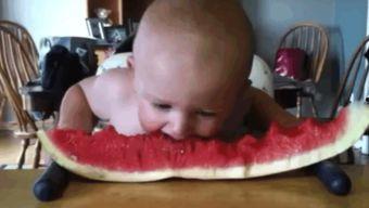 吃瓜宝宝好可爱视频,可爱视频引网友热议