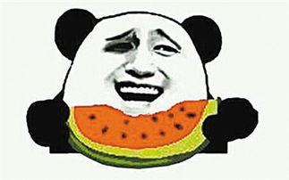 善良吃瓜群众视频大全集,揭秘娱乐圈幕后故事大全集