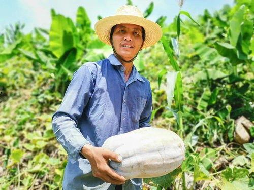 善良吃瓜群众视频大全集,揭秘娱乐圈幕后故事大全集