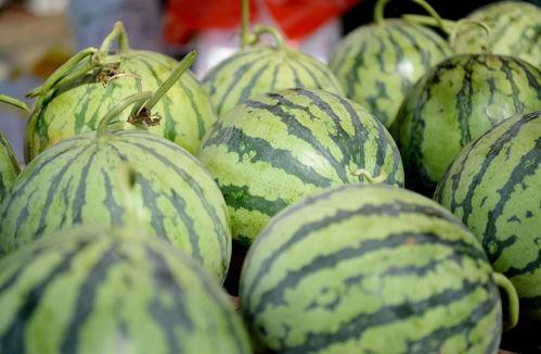 广州新农人吃瓜视频播放,揭秘田间地头的新潮流