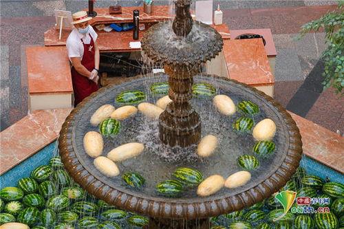 人工喷泉吃瓜视频,一场别开生面的吃瓜盛宴