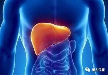 吃捧瓜对肝脏好吗视频,揭秘吃捧瓜对肝脏的益处