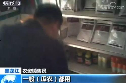 怎么看吃瓜的人是谁啊视频