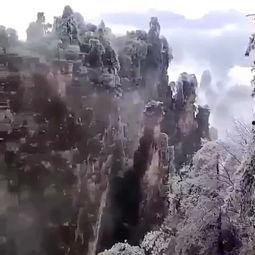 张家界吃瓜视频哪里有,揭秘当地美食风情