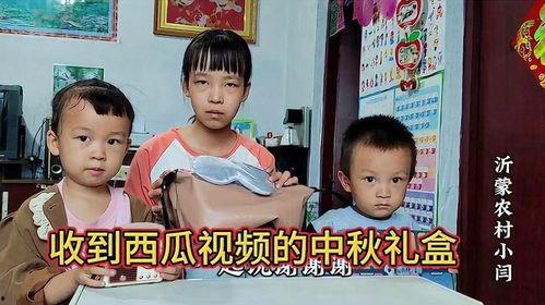 姐弟打架吃瓜视频大全播放,姐弟打架吃瓜视频大全，笑料百出引网友热议