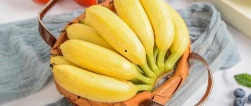 香蕉蜜瓜怎么吃最好吃视频,视频揭秘美味搭配秘诀