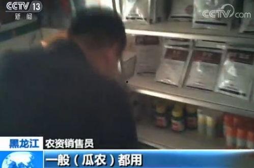 吃瓜视频群众们请看看,揭秘网络视频背后的热点事件