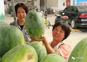 吃瓜视频群众们请看看,揭秘网络视频背后的热点事件