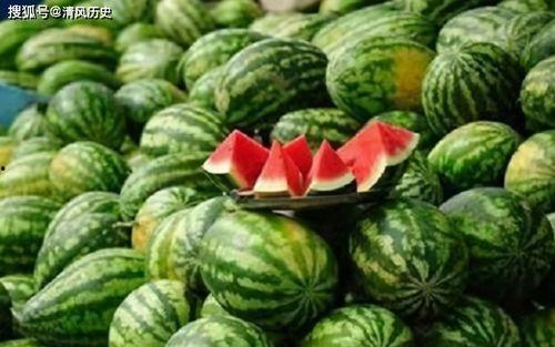 吃瓜奇葩见解视频下载安装,揭秘“吃瓜奇葩见解”视频下载安装攻略